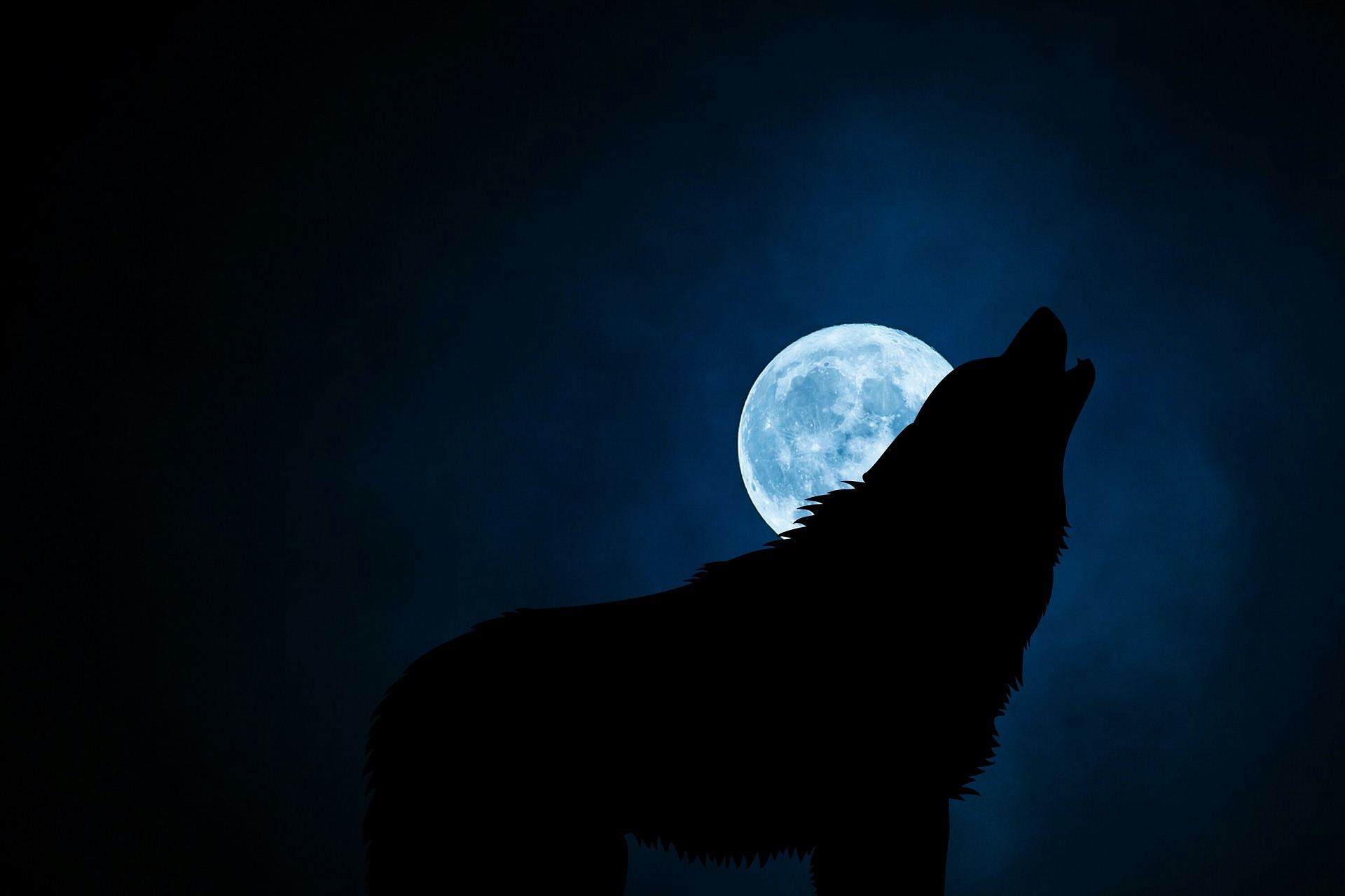 werewolf legends