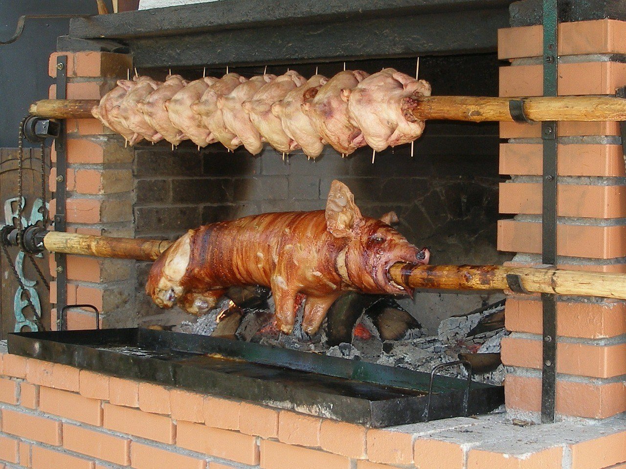 Roast suckling pig