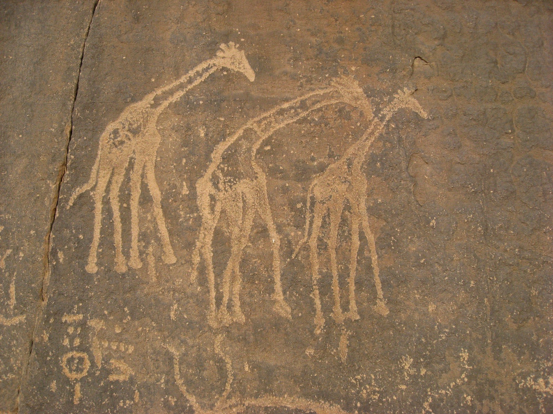 Cave paintings