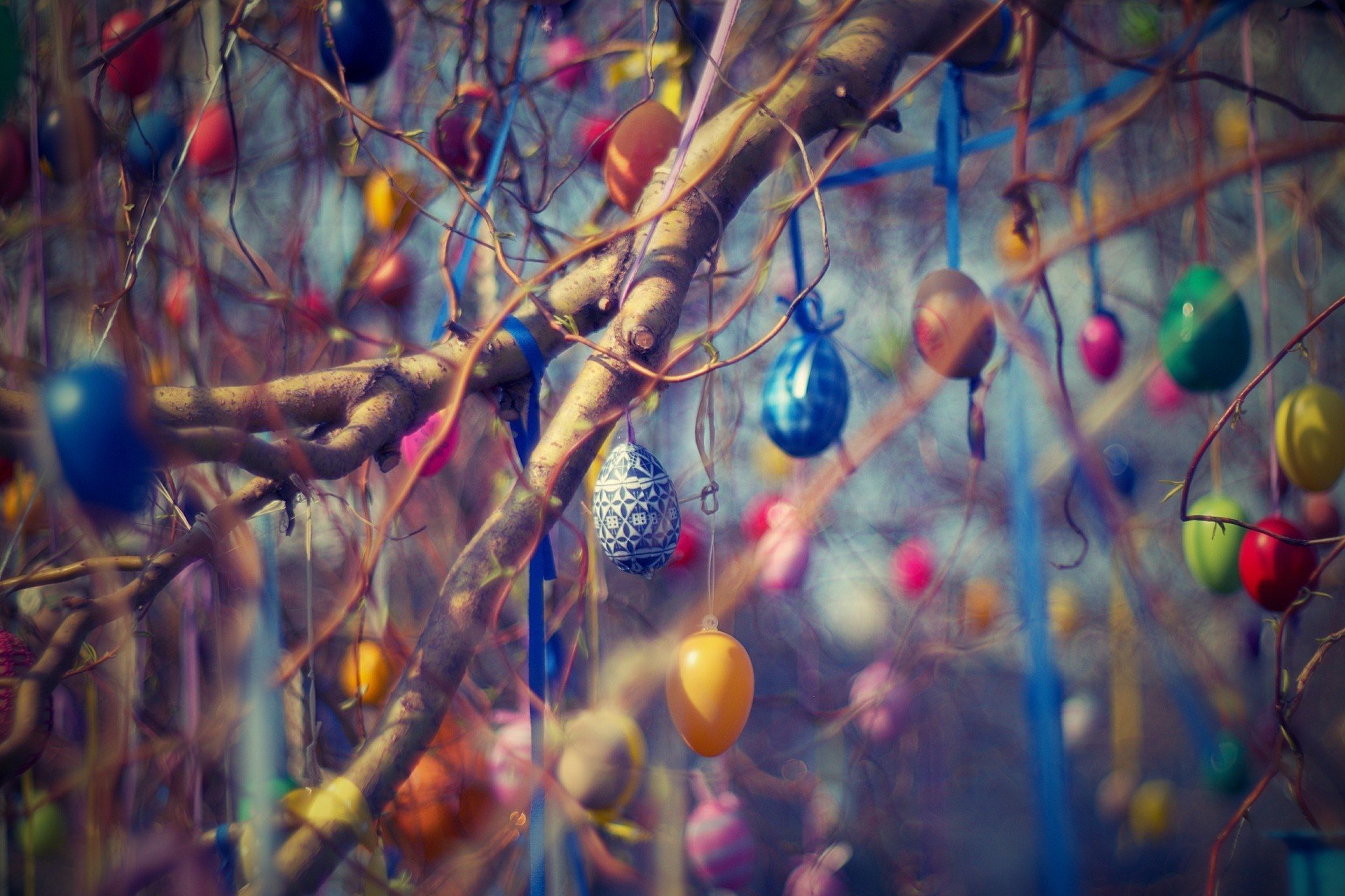 Trees decorated with Easter eggs in Germany